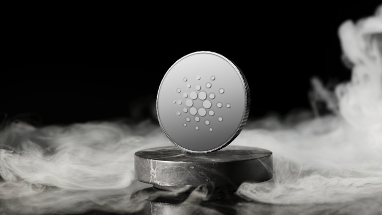 Cardano Ekosistemi Büyüyor: On Binlerce Cüzdan Eklendi