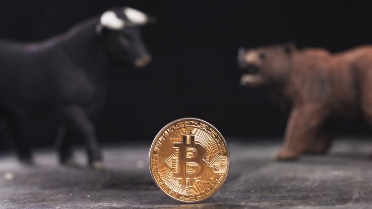 10 Yıllık Bitcoin Borsası, Ayı Piyasası Yüzünden Kapanıyor
