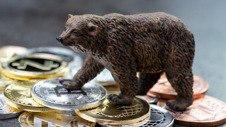 Bloomberg Analisti Bitcoin İçin Ayı Piyasasında En Çok Kazandıran Stratejiyi Paylaştı
