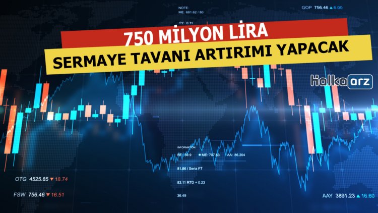 Kayıtlı Sermaye Tavanını 750 milyon TL'ye Çıkaracak