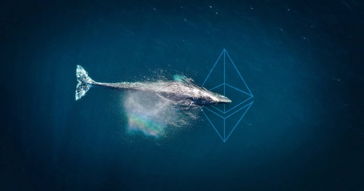 Ethereum Vakfının ETH Satışı Panik Yarattı, Bu 2 Balinada Satış Yaptı!