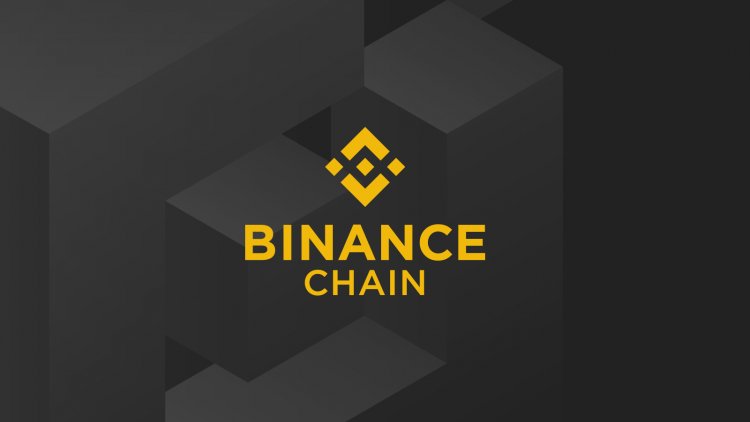 BNB Chain: Bu Altcoin, Ekosistem Ortağımız Oldu!