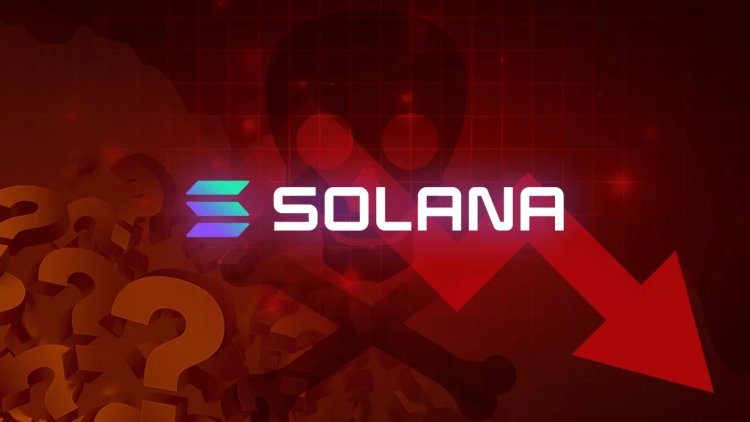 Solana Tabanlı Popüler Memecoin Şirketi, Fiyata Bakmadan SOL Satıyor!