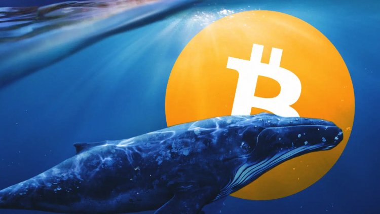 DİKKAT: 8 Yıllık Bitcoin Balinası Uyandı, BTC Satmaya Başladı! Bir Şey mi Biliyor?